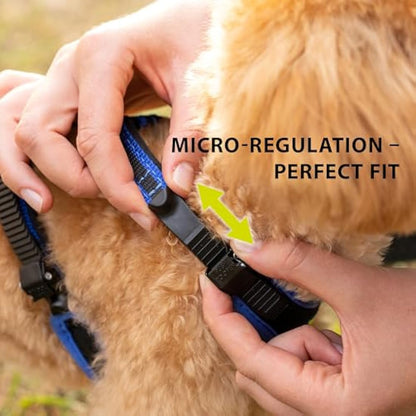 Ferplast Medium Size Dog Harness ERGOCOMFORT MEDIUM, Adjustable Dog Harness, Comfortable, Padded, Double Micro-adjustment Closure, Quick Release, Blue