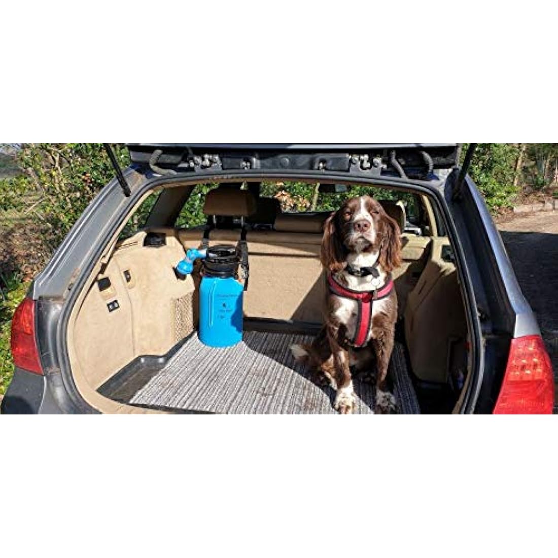 Petacarium Insulated Portable Shower (5 Litre, Red) for Dogs, Camping, Paddleboarding, Muddy Walks