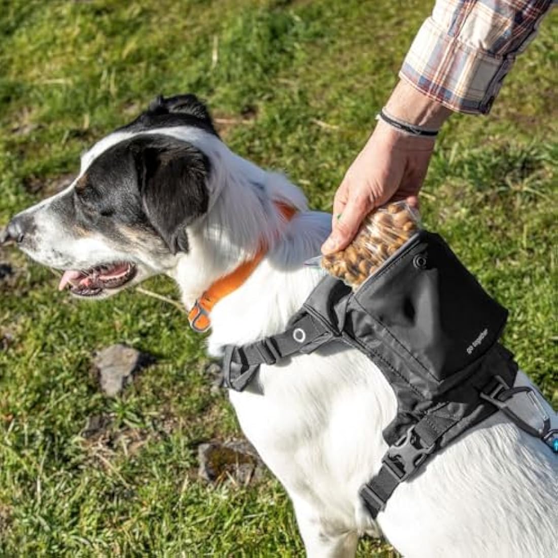 Kurgo Stash n’ Dash Dog Harness, Lightweight Vest Harness for Dogs, Pet Harness with Pocket, Folds into a Pouch, for Running, Hiking, Reflective, Black, Medium