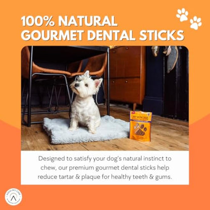 Pet Munchies Mixed Chicken Stick Bundle for Dogs, Chicken with Cheese, Blueberry or Carrot Flavour, Natural Real Meat Dog Chew Treat Sticks, 18 Variety Bags, 260g