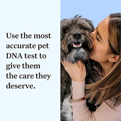 Wisdom Panel Essential: Most Accurate Dog DNA Test Kit for Breed ID and Ancestry | 25+ Genetic Health Conditions | Traits | Relatives,white,75 g (Pack of 1)