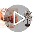 Crystal Tree for Home Decorations Crystals and Healing Stones Witchy Room Crystal Decor Tree Crystal Gifts Gem Tree Christmas Tree Stands for Real Tree… (Gomti Rudraksha tree)