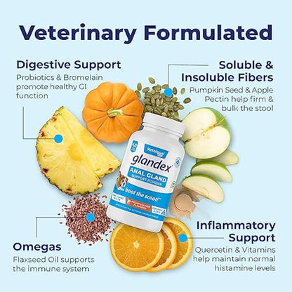 Glandex Dog & Cat Anal Gland Sac Fiber Supplement Powder With Pumpkin, Digestive Enzymes & Probiotics – Vet Recommended Healthy Bowels & Digestion - Boot The Scoot by Vetnique Labs (114g)