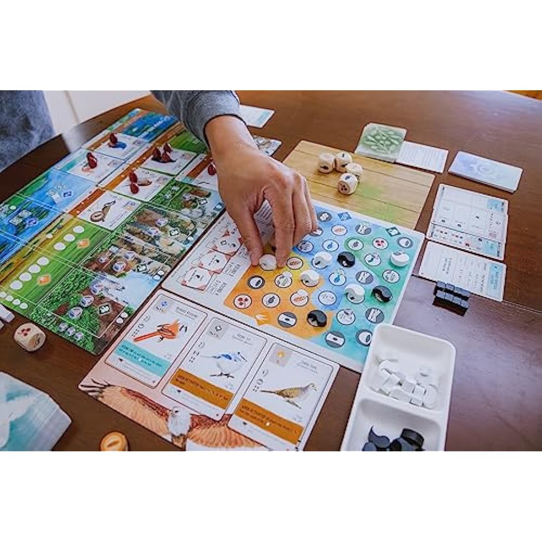 Stonemaier Games | Wingspan Asia | Standalone or Expansion Board Game | Ages 14+ | 1-7 Players |40-70 Minutes Playing Time
