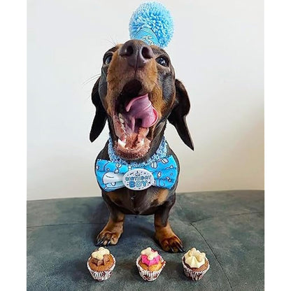 The Barking Bakery Trio of Mini Iced Woofins - 3 Little Cupcakes for Dog Doggy Treat