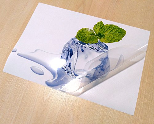 Evergreen Goods 100 Sheets A4 Waterproof Translucent Glossy Vinyl | Inkjet and Laser Printable | Semi-Transparent Low Opacity Self Adhesive PVC Sticker | Suitable for Cricut & Silhouette