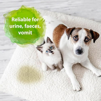 Bactador Odor and Stain Remover Concentrate 3L - Biological enzyme cleaner against sweat, smoke, cat urine, dog urine, animal odors - For household, car & animal environment