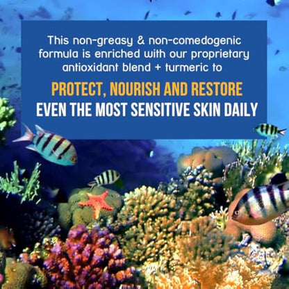 SPF 45 Every Day Tint Mineral Sunscreen | 75 ml Biodegradable, Paraben Free & Reef Safe Sunscreen | Non-Greasy Tinted Sunscreen For Face | Protection Against UVA & UVB for Face & Body