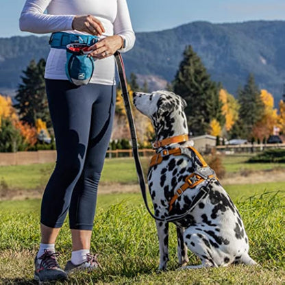 Kurgo Go Stuff It Treat Bag, Hands-Free Training Dog Treat Pouch, Includes Belt Clip and Carabiner, Machine Washable, Coastal Blue