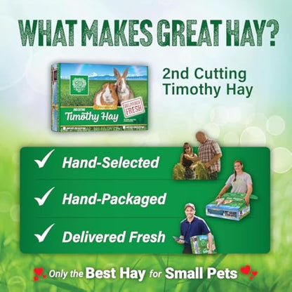 Small Pet Select 2nd Cutting Timothy Hay for Rabbit, Guinea Pig, Bunny, Chinchilla and Other Small Animals, Premium Natural Hay Grown in The US, Perfect Blend Pet Food, 5 LB (2.26kg)