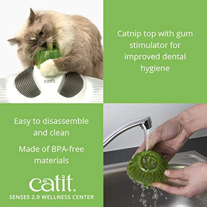 Catit Senses Wellness Centre,Green