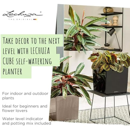 Lechuza Self Watering Plant Pot CUBE 40 Garden Flower Indoor and Outdoor Plastic Planter with Drainage Hole H40 L40 W40 cm Charcoal Metallic