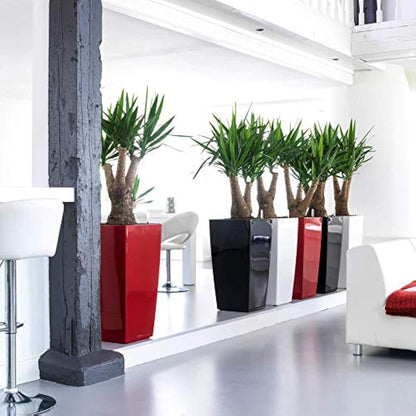 LECHUZA CUBICO Premium 40 scarlet red high gloss 18193