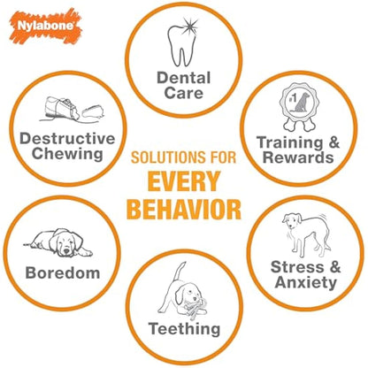 Nylabone Gentle Puppy Dog Teething Chew Toy Keys, Bacon Flavour, Extra Small, for Puppies Up to 7 kg