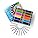 Classmaster Colouring Pencils For Adults & Kids, Assorted Coloured Pencils, Long-Lasting & High Quality Colouring Pencils For Children, Softer Leads For Perfect Colour Laydown, Pre-Sharpened - 288PK