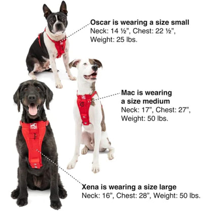 Kurgo Enhanced Strength Tru-Fit Dog Car Harness, Crash Tested, Steel Nesting Buckles, Includes Seatbelt Tether, Small-Black