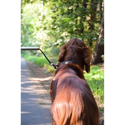 dobar® 62000 Walky Dog Plus Dog Bicycle Lead, Stainless Steel Spacer, Bicycle Holder with Triple Rear Damper, Traction Lead with Quicklock and Spacer, 37.5 cm, Silver
