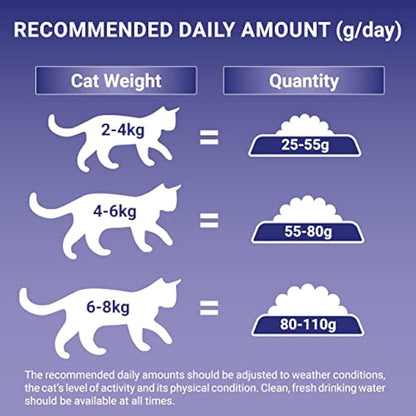 Purina ONE Indoor Dry Cat Food Turkey & Wholegrain 800g (Pack of 4)