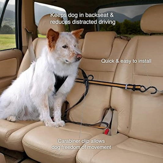 Kurgo Auto ZipLine for Dogs, Dog Safety Restraint for Car, Boat or Campsite, Quick & Easy Installation, Adjustable Length, Black/Orange