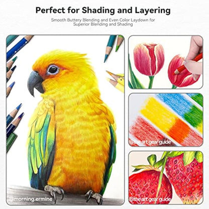 Arrtx 126 Colouring Pencils Set, Professional Premium Soft Core Coloured Pencils for Adult Artists, Drawing, Sketching, Shading |Adult Colouring Book |Colour Pencils | Artist Pencils