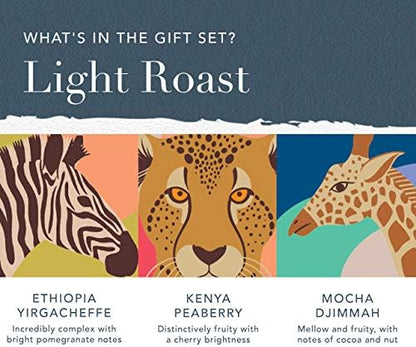 Whittard of Chelsea | Coffees of the World Gift Set For Men & Women | 9 Boxes of Single Origin Ground Coffee | Brews up to 72 cups | 9 x 66g Ground Coffee Bags