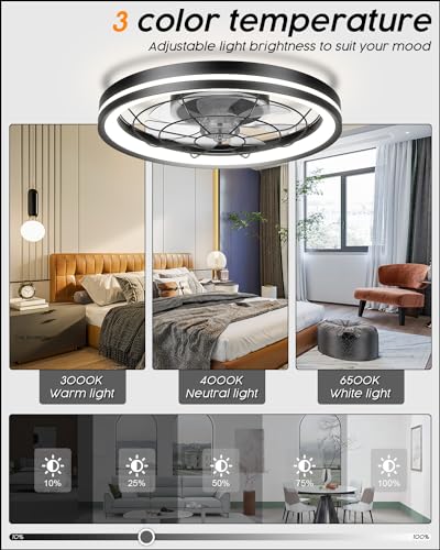 Airwit 48cm Silent Ceiling Fan with Light and Remote Control, Dimmable Lamp Ceiling Fan Modern with DC Reversible Motor, Chandelier Fan for Bedroom,