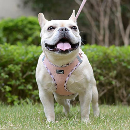 DORAMIO Step-in Dog Harness and Leash Set, Soft Mesh No-Chock Reflective Breathable Easy Walk Lightweight Vest Harnesses with Safety Buckle for Small Dogs, Cats, Puppies (Champagne, S)