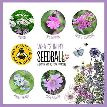 SEEDBALL Butterfly Mix Seed Bombs (Wild Flower Tin) - 20 Seed Balls Per Pack | Eco Friendly British Wildflower Seeds | Clay Protected Seed Bomb for Butterflies – A Mix of Purple, Pink & Blue Flowers