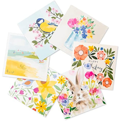 Tall Boy | Everyday Marie Curie Charity Pack Bundle of 36 Greeting Cards Perfect for Birthdays & All Occasions