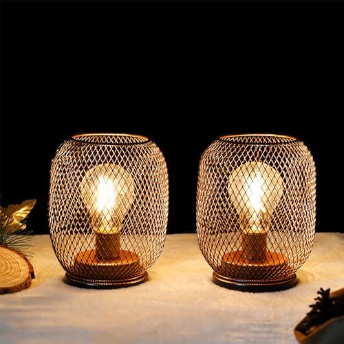 TRIROCKS Set of 2 Battery Operated Table Lamp, Metal Cage Cordless Lantern with LED Bulb, Oval Vintage Decorative Outdoor Lights for Weddings, Parties, Patio for Indoors Shelf