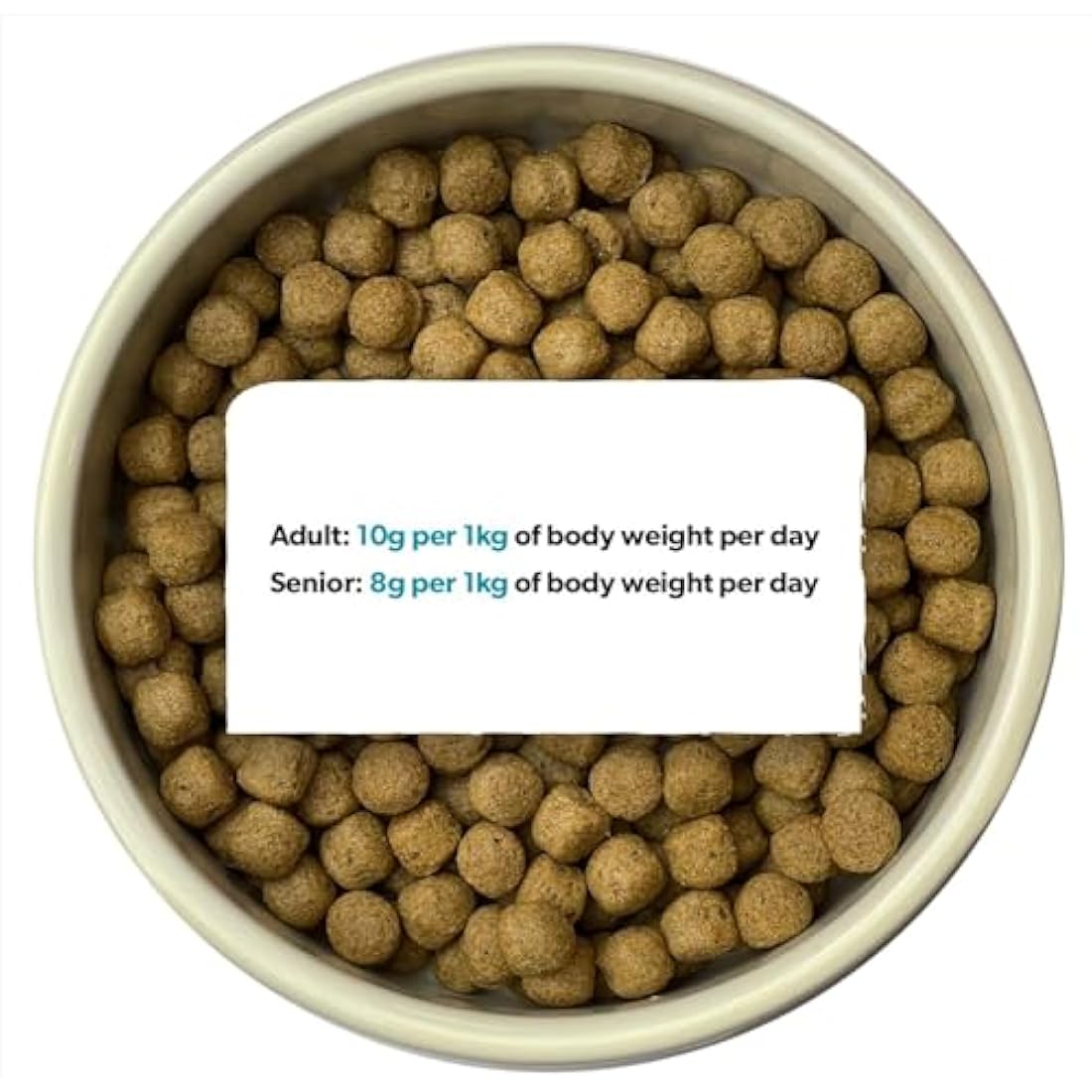 Burns Pet Nutrition Hypoallergenic Complete Dry Dog Food Adult and Senior Dog Original Fish and Brown Rice 2 kg