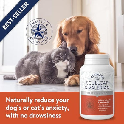 DORWEST HERBS Scullcap & Valerian Calming Tablets for Dogs and Cats, 500 Tablets, Natural Dog Calming Supplements for Stress and Anxiety Relief – Sugar-Free, Non-Drowsy, Light Yellow Tablet, 14DOR018