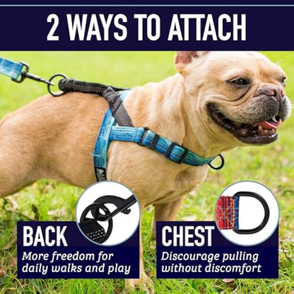 Leashboss Pattern Reflective No Pull Dog Harness with Bungee Handle, Rear and Front Clip Attachment, Pattern Collection (Wave Pattern, Large)
