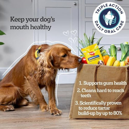 Pedigree DentaStix - Daily Dental chews for medium Dogs (10-25 kg) , 28 Pedigree Dentastix sticks (Pack of 4)