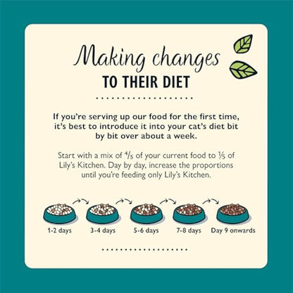 Lily's Kitchen Made with Natural Ingredients Adult Wet Paté Cat Food Tray Organic Fish Grain-free recipe 19 x 85g