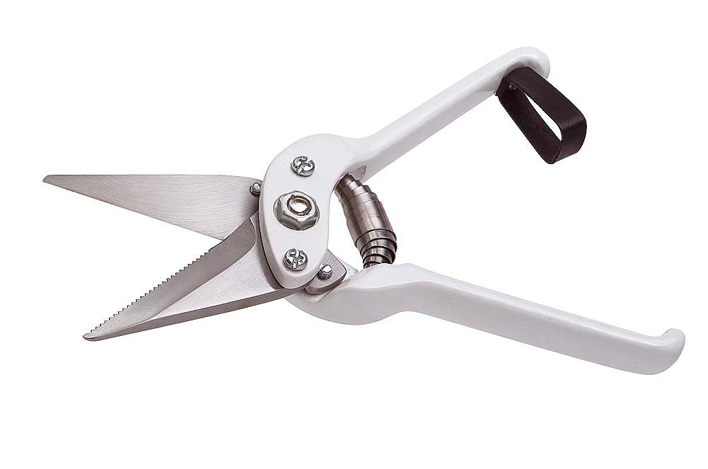UKAL 106607001 - Sheep - Foot Care - Shears - Nail Shears - Notched White Sheep 6 cm