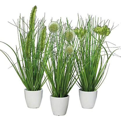 Klocke Dekorationsbedarf Artificial Plant - Grass in Pot - Pack of 3 - Height: 36 cm - Colour: Green - Artificial Grass / Table Decoration