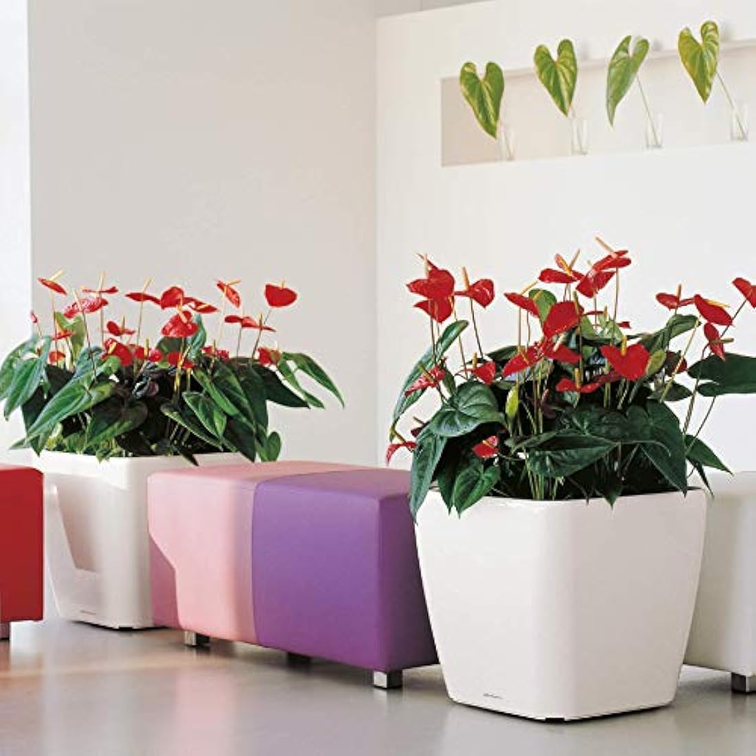 LECHUZA QUADRO Premium LS 50 scarlet red high gloss 16287
