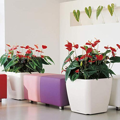 Lechuza Self Watering Plant Pot QUADRO LS 50 Garden Flower Indoor and Outdoor Plastic Planter with Drainage Hole H47 L50 W50 cm Charcoal Metallic