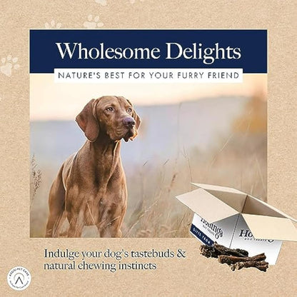 Hollings Tripe Sticks Dog Treats, 100% Natural Air Dried Chews for Adult Dogs, Grain Free & High in Protein (2.5kg)