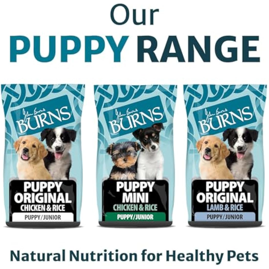 Burns Pet Nutrition Hypoallergenic Complete Dry Dog Food Puppy Original Lamb and Rice 2 kg