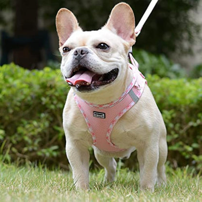DORAMIO Step-in Dog Harness and Leash Set, Soft Mesh No-Chock Reflective Breathable Easy Walk Lightweight Vest Harnesses with Safety Buckle for Small Dogs, Cats, Puppies (Pink, XL)