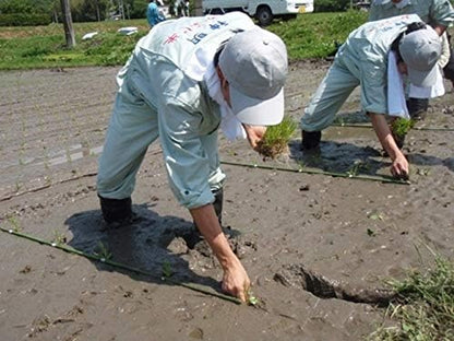 Toyama Koshihikari Japanese Rice 5kg