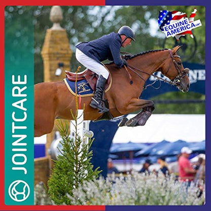 Equine America Glucosamine HCI 12000 | Premium Ready To Use Horse & Pony Supplement | Support For Joints & Mobility | 1kg