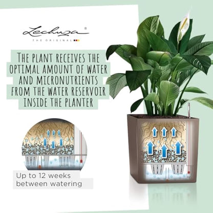 Lechuza Self Watering Plant Pot CUBE 40 Garden Flower Indoor and Outdoor Plastic Planter with Drainage Hole H40 L40 W40 cm Charcoal Metallic