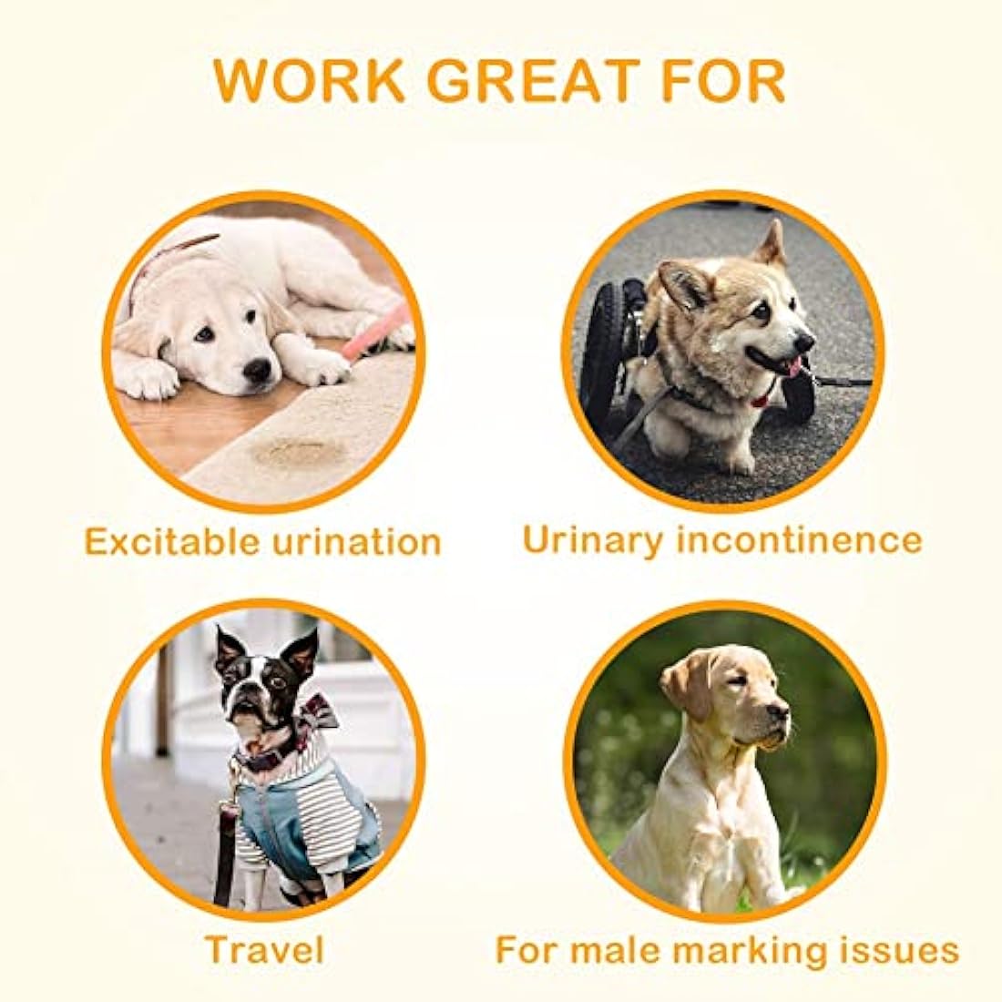 Dono Dog Nappies Male,Male Dog Wraps with Wetness Indicator,Disposable Dog Belly Bands for Puppies,Super Absorbent&Leak-proof,Puppy Nappies for Incontinence,Traveling-Bulk Pack (6M -60count)