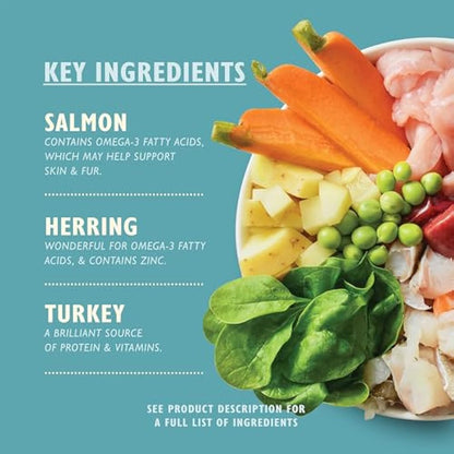 Lily's Kitchen Fishy Fish Pie - Complete Natural Adult Dog Food Wet (10 x 150g Trays)
