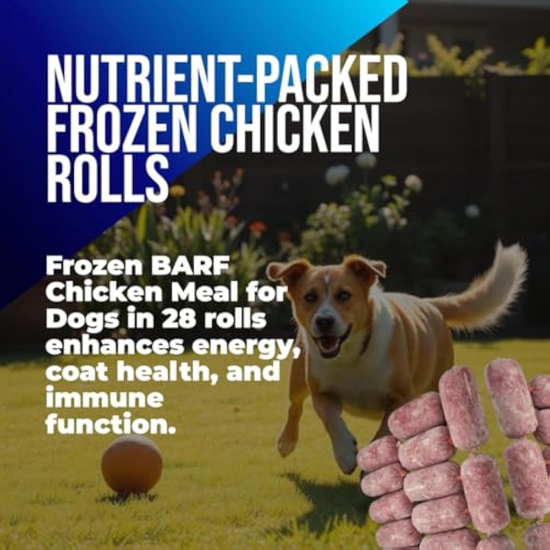 Raw Dog Food Frozen BARF Chicken Mince Meal for Dogs - Frozen, Raw Food in 28 x 500g Rolls (14kg Total)