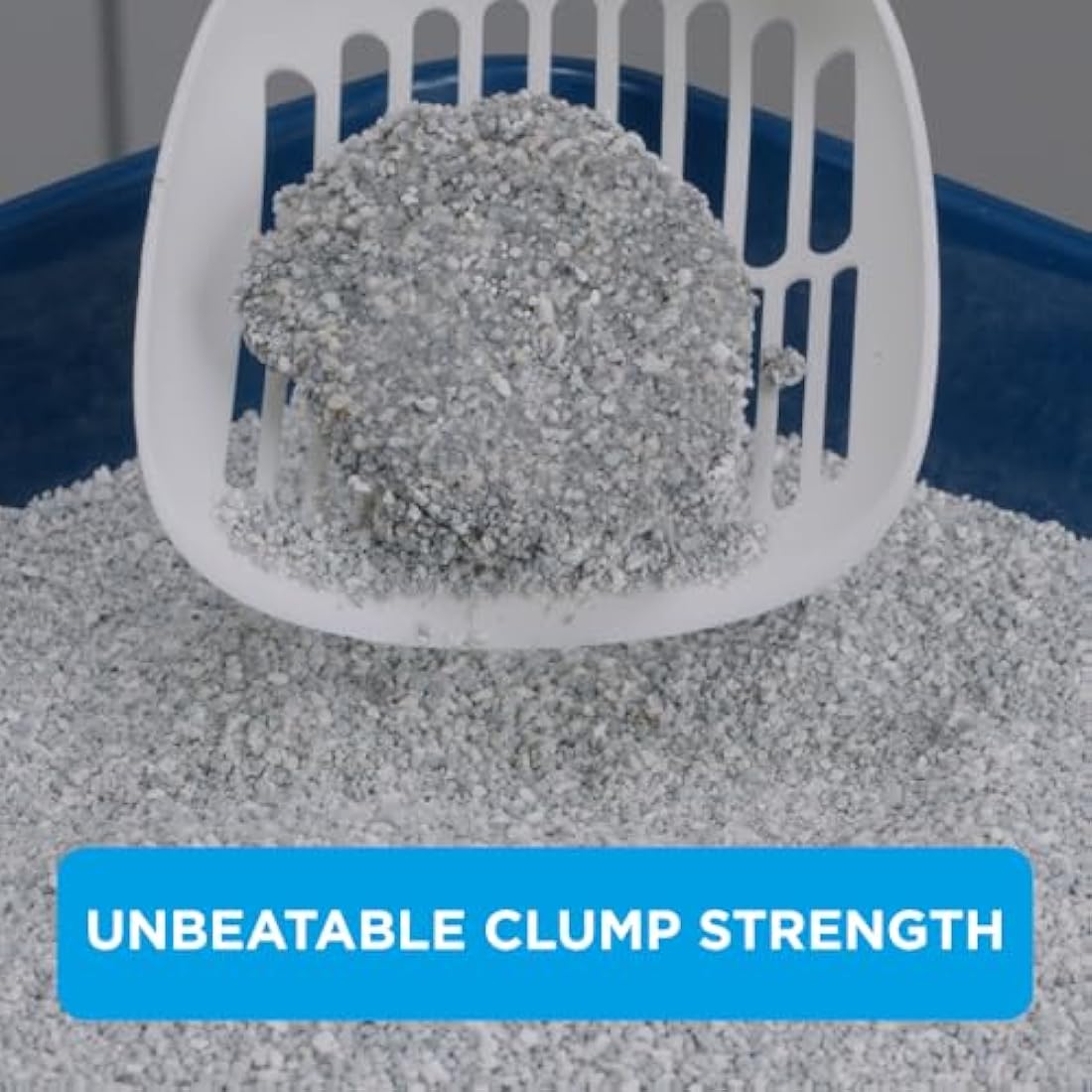 Ever Clean Clumping Cat Litter, Scented Cat Litter, Litterfree Paws, Long-lasting Freshness, Dust-Free Formula, 10 l (Pack of 1)