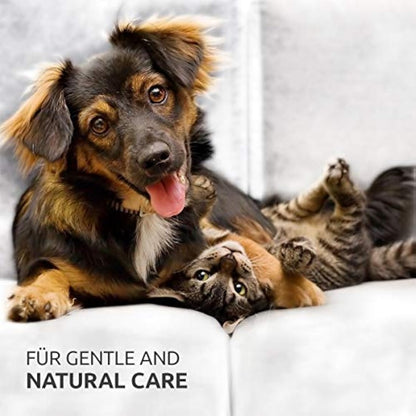 AniForte Ear Mite Drops 20ml for Dogs, Cats, Rodents and Pets: Treatment for Pets and Animals to Kill & Remove Ear Mites, Ear-Drops